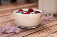 طرز تهیه ماست خانگی