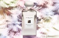 راهنمای کامل خرید عطر و استفاده صحیح از آن در هفت مرحله