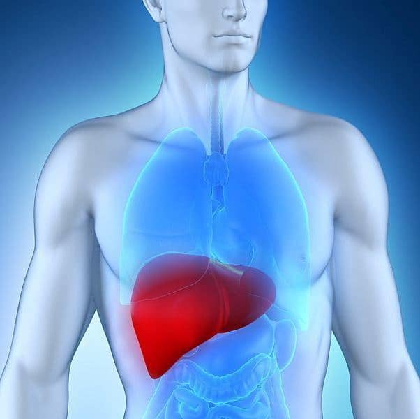 بیماری هپاتیت C : بررسی علائم، راه های ابتلا و پیشگیری و درمان این بیماری در زنان