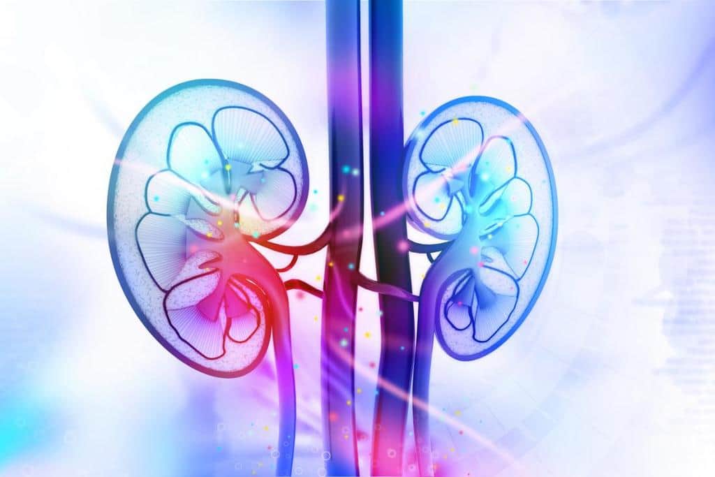 آزوتمی چیست؟ علائم، روشهای تشخیص و درمان آن چگونه است