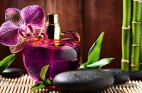آشنایی با هنر ساخت و ترکیب عطر ، یک هنر ظریف و دقیق
