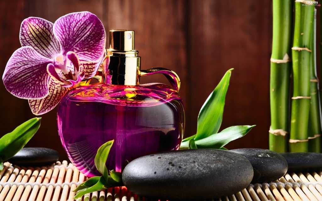آشنایی با هنر ساخت و ترکیب عطر ، یک هنر ظریف و دقیق