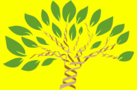 اجداد انسان