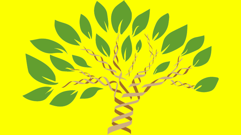 اجداد انسان