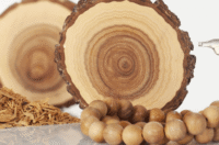 عنبر و چوب صندل دو عنصر طبیعی و پرکاربرد در ساخت عطر