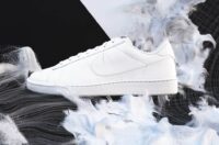 تولید ماده Flyleather