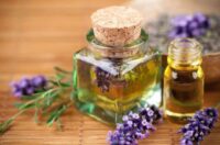 مهم‌ترین و پرکاربردترین گیاهان معطر در ساخت عطر را بشناسید