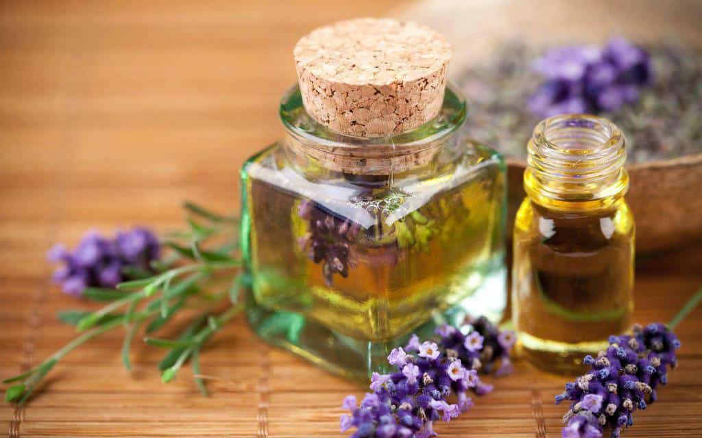 مهم‌ترین و پرکاربردترین گیاهان معطر در ساخت عطر را بشناسید