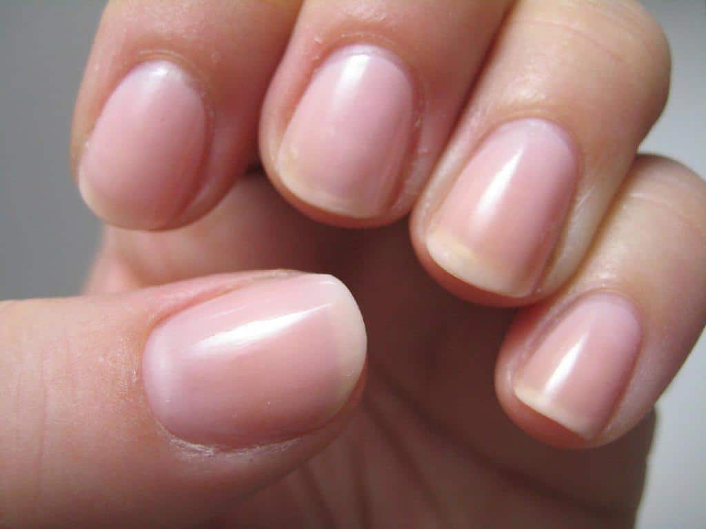 همه چیز را درباره سلامت ناخن و ساختار تشکیل دهنده آن بیاموزید