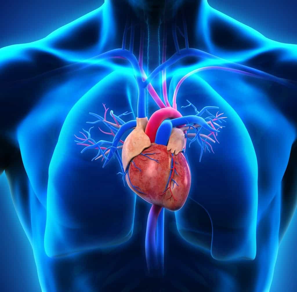 داروی سلکسی پگ (Uptravi) و معرفی ویژگیها و نکات کلیدی حین مصرف آن