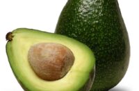 معرفی میوه آووکادو