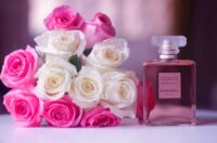 گران‌ترین عطرهای جهان و برندهای تولید کننده آن‌ها کدامند؟