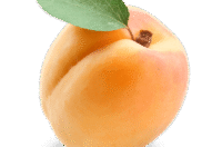 معرفی خواص زردآلو