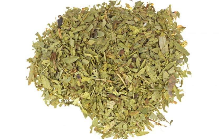 چای سنا ؛ فواید، عوارض، میزان مصرف توصیه شده و تداخلات دارویی