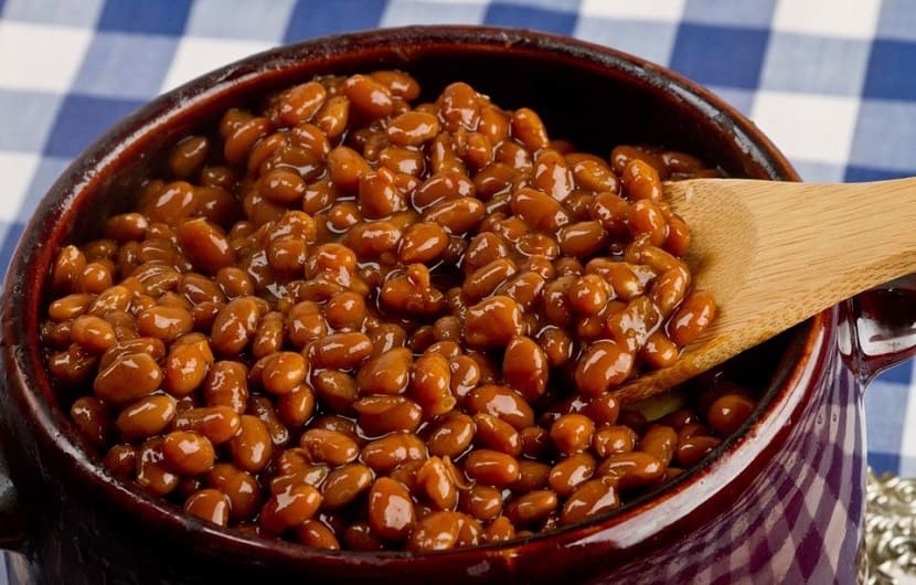 معرفی لوبیا چیتی