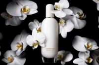 گروه‌های مختلف مواد معطر مورد استفاده در عطرسازی را بهتر بشناسید