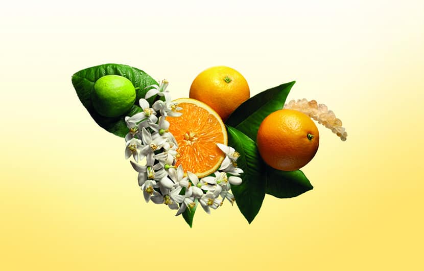 عطر پرتقال و ترنج دو رایحه دلپذیر مرکبات در دنیای عطرها
