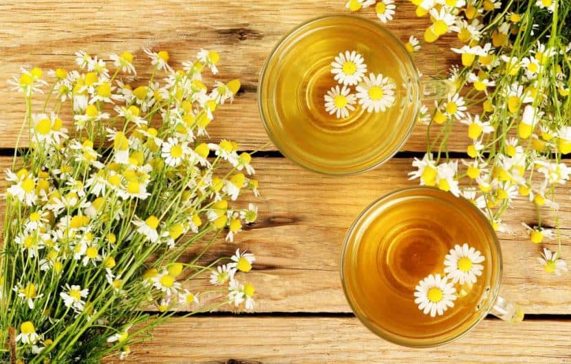 چای بابونه چگونه به سلامت بدن و درمان بیماریها کمک میکند