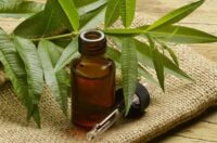 فواید روغن تی تری