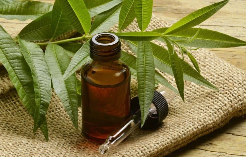 فواید روغن تی تری