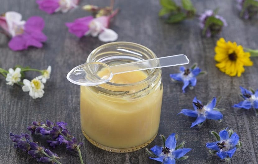 خواص ژل رویال و موارد استفاده از آن برای درمان بیماریها و مشکلات سلامتی