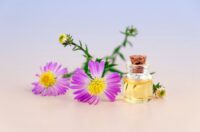 بهترین روغنهای ضد چروک