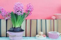 کتاب هایی برای تغییر زندگی