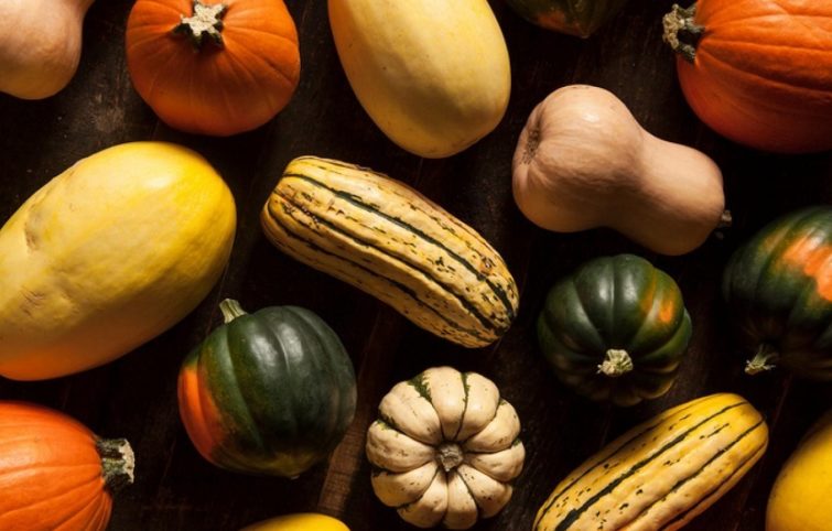 کدو حلوایی و بررسی ۸ خاصیت شگفت انگیز این ماده غذایی