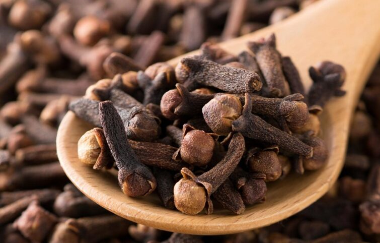 معرفی خواص میخک