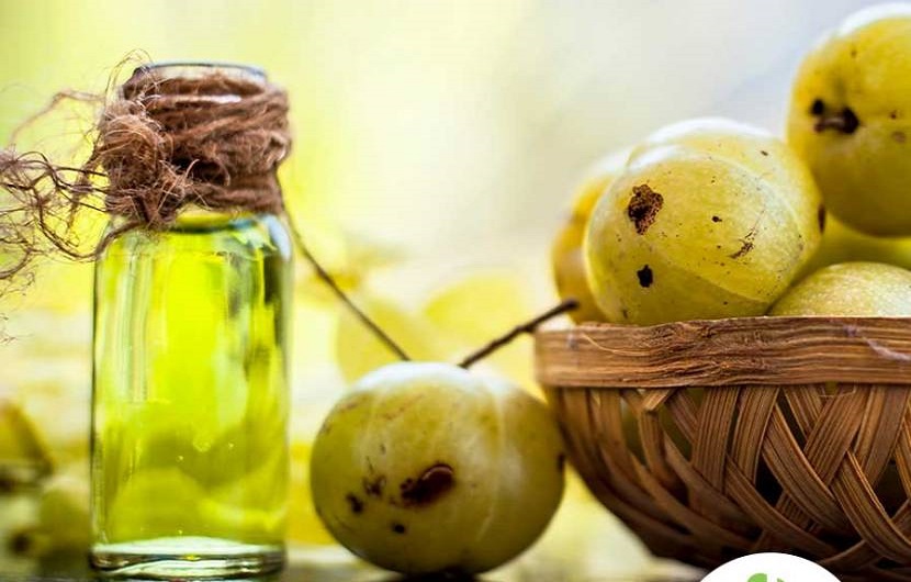 روغن آمله