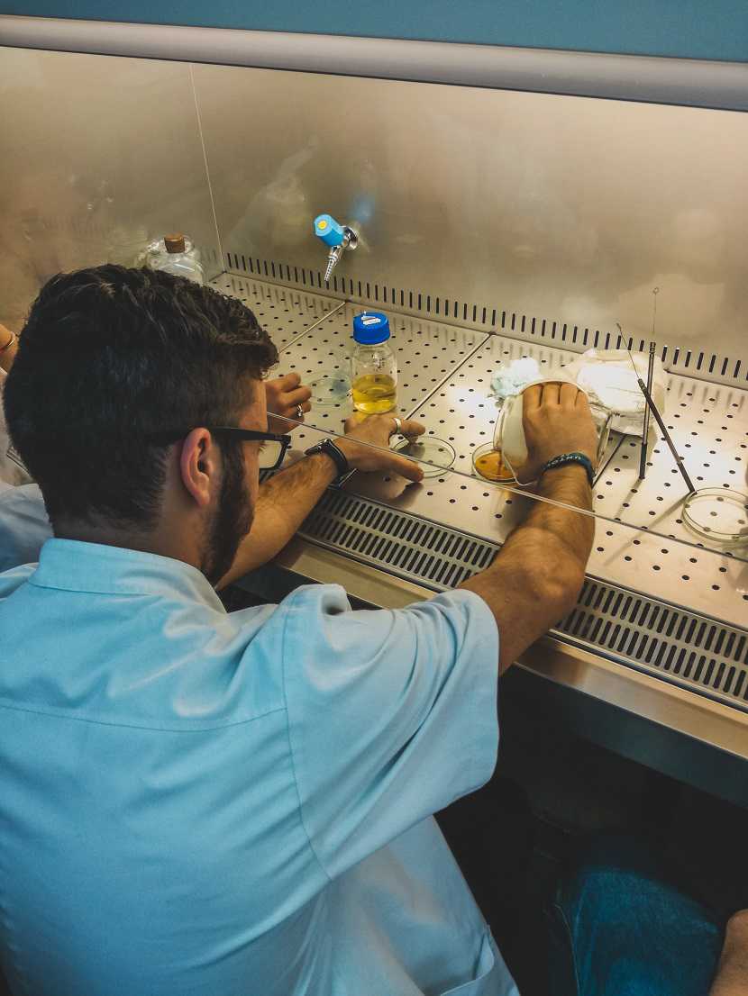 مهندسی زیست پزشکی
