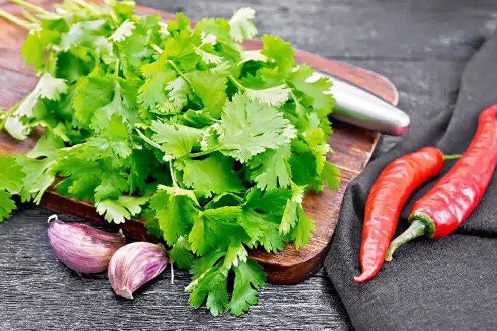 بهبود سلامت پوست با مصرف سبزی گشنیز