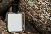 لیست بهترین ادکلن زنانه با بوی چوب (لاکچری ترین عطر چوبی)