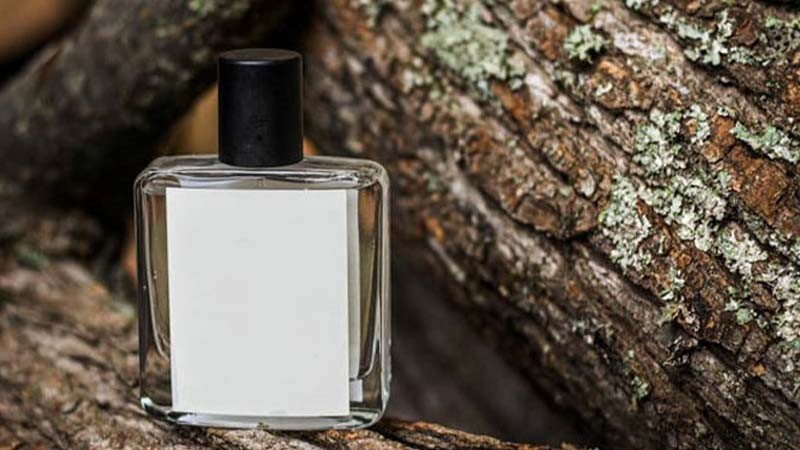 لیست بهترین ادکلن زنانه با بوی چوب (لاکچری ترین عطر چوبی)
