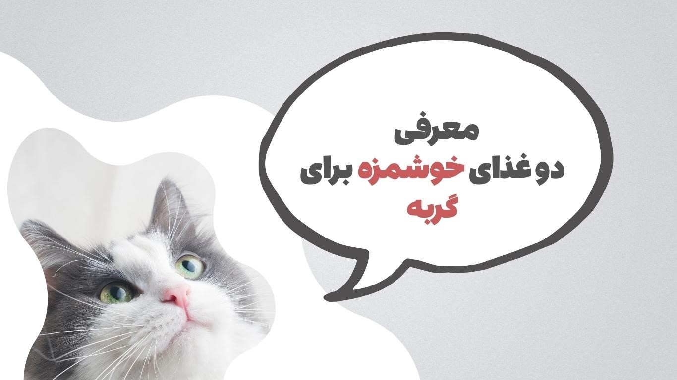 معرفی دو غذای خوشمزه برای سگ های نژاد کوچک