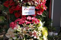 تاج گل افتتاحیه از گل‌فروشی هانی‌گل: نمادی از شروعی جدید با زیبایی گل‌ها